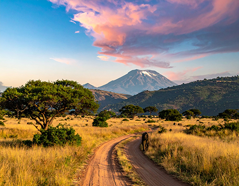 South Africa